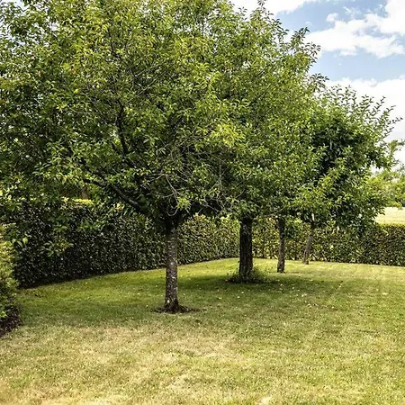 Lovely Flat In A Calm Neighbourhood Between Luxemburg And Esch/alzette